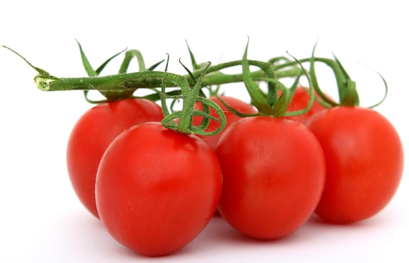 Exotic Food